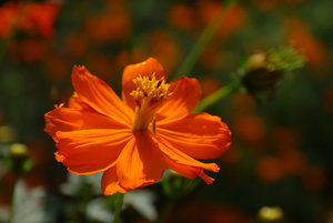 LGS Bamberg-00350.jpg