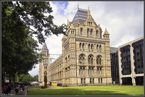 National History Museum 1.jpg