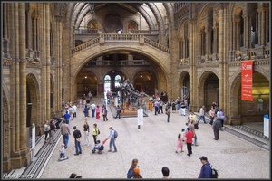 National History Museum 2.jpg