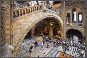 National History Museum 3.jpg