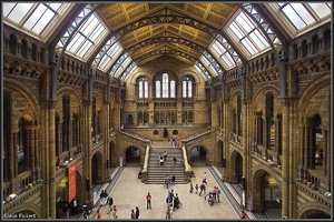 National History Museum 4.jpg
