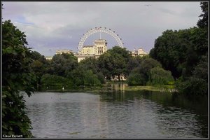 St James Park  8.jpg