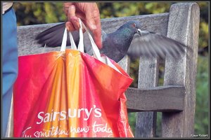 St James Park  2.JPG