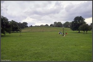 Primrose Hill 1.jpg