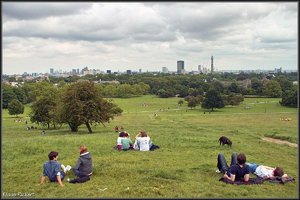 Primrose Hill 2.jpg