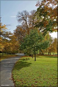 Greenwich Park 9.jpg