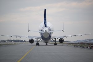 Beluga 1.jpg Beluga 1.jpg