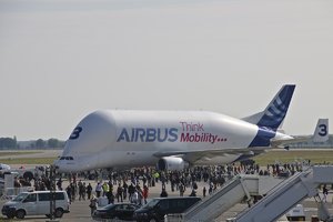 Beluga 2.jpg Beluga 2.jpg