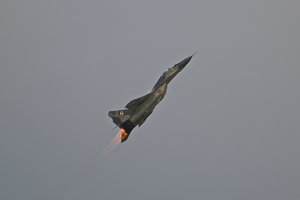 MIG 29 Up.jpg MIG 29 Up.jpg