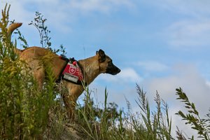 500-IMG_2395.jpg 500-IMG_2395.jpg