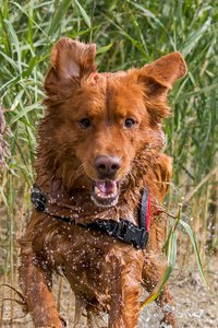 500-IMG_2488-2.jpg 500-IMG_2488-2.jpg