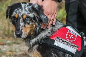 500-IMG_2735.jpg 500-IMG_2735.jpg