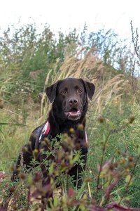 500-IMG_2619.jpg 500-IMG_2619.jpg