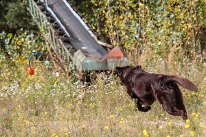 500-IMG_2924.jpg 500-IMG_2924.jpg