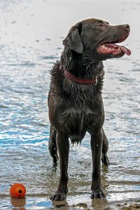 500-IMG_2959.jpg 500-IMG_2959.jpg