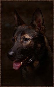 comp__DSC6178R Kopie.jpg