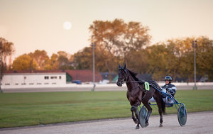 20120929-047 bearb..jpg