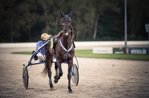 20120929-068-2 bearb..jpg