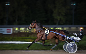 20120929-213 bearb..jpg