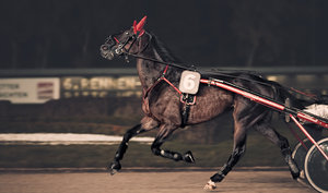 20120929-346-5 bearb..jpg