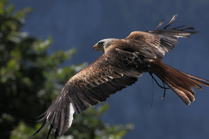 IMG_7655.jpg IMG_7655.jpg