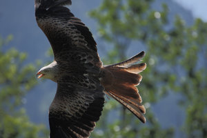 IMG_7657.jpg IMG_7657.jpg