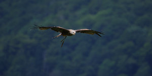 IMG_7689.jpg IMG_7689.jpg