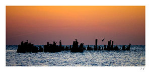 P1020662.jpg P1020662.jpg