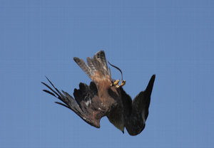 IMG_7683.jpg IMG_7683.jpg