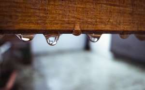 P1080603-2 bearb..jpg