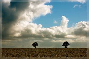 Lichtstudie 025 500 kbLichtstudien 025.jpg