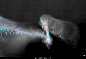 SD10_Cyclop85_IMG03483_filtered.jpg SD10_Cyclop85_IMG03483_filtered.jpg