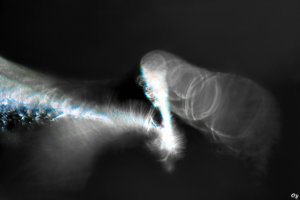 SD10_Cyclop85_IMG03483_filtered-v2.jpg SD10_Cyclop85_IMG03483_filtered-v2.jpg