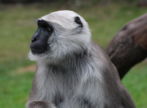 O 2468.jpg O 2468.jpg