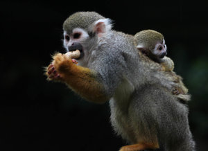 O 2511.jpg O 2511.jpg