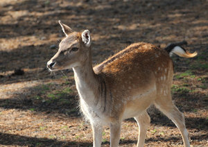 O 2767.jpg O 2767.jpg