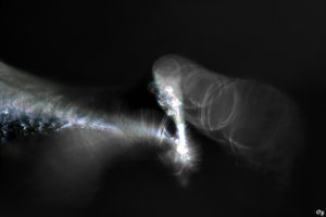 sd10cycl_IMG03483_filtered-v3.jpg sd10cycl_IMG03483_filtered-v3.jpg