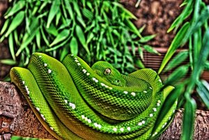 merauke HDR ohne.jpg