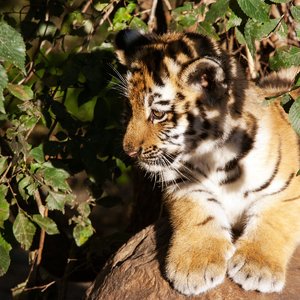 comp__MG_6971.jpg comp__MG_6971.jpg