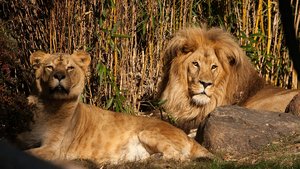 comp__MG_7030.jpg comp__MG_7030.jpg