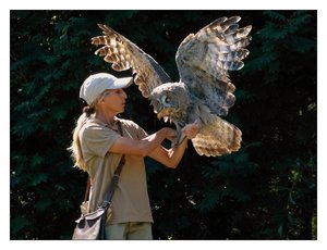 m.falknerin m. bartkauz217.jpg