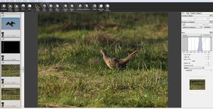 Unbenannt4.JPG Unbenannt4.JPG