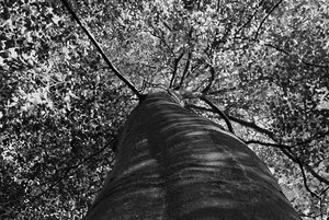 IMG_4451_web.JPG IMG_4451_web.JPG