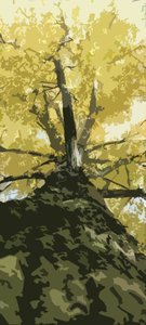 IMG_4478_web.JPG IMG_4478_web.JPG