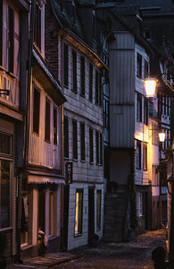 20121020-059 bearb..jpg