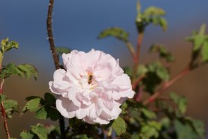 comp_DSC00043ff.jpg comp_DSC00043ff.jpg