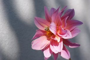 comp_DSC00208.jpg comp_DSC00208.jpg