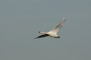 12_10_01_rieselfelder 137.jpg