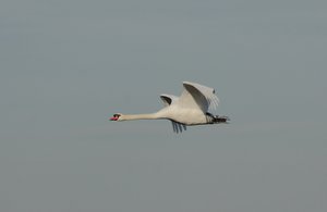 12_10_01_rieselfelder 138.jpg