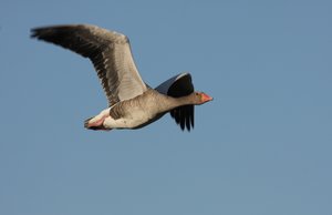 12_10_01_rieselfelder 158.jpg